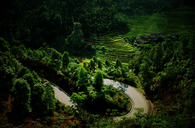 山间路 摄影 我就是大山