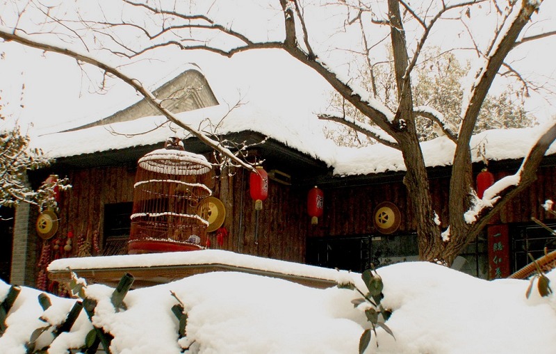 雪中杏花村 摄影 山中之鹰