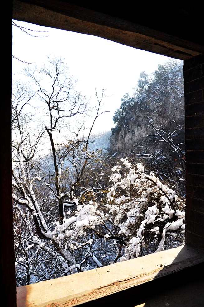 瑞雪含窗 摄影 斜阳摇红