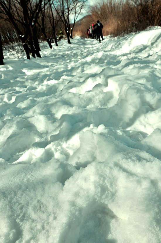 雪地徒步 摄影 李小鱼