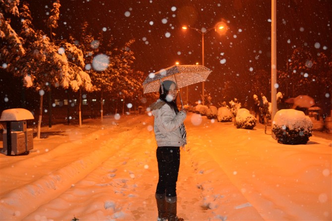 雪中的回眸 摄影 枫随风