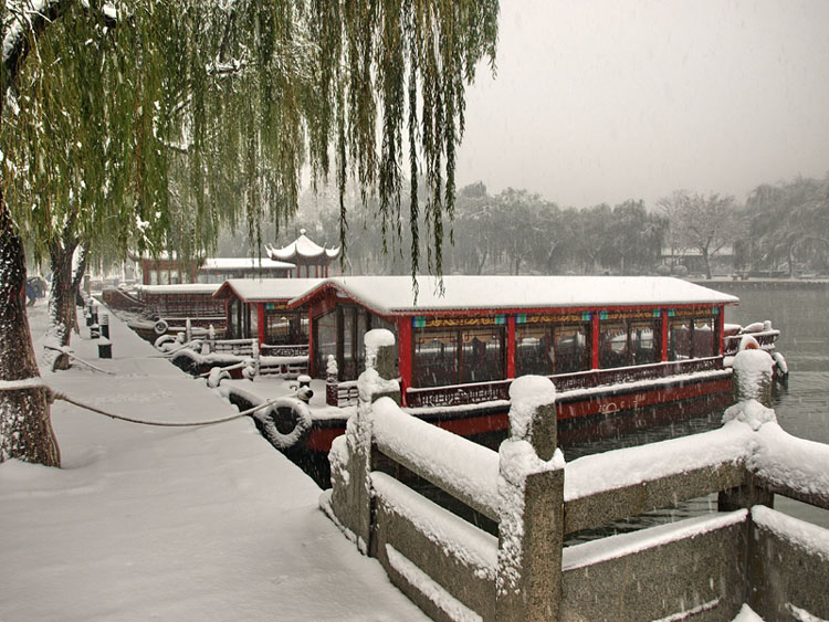 明湖雪景--鹊华雪泊 摄影 泉城古月