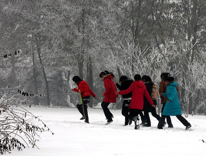 踏雪 摄影 亦霖