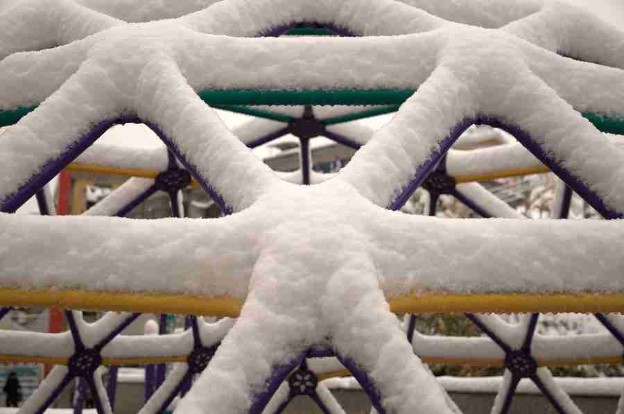 雪～花～ 摄影 紫杜鹃