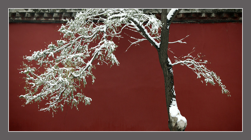 京城瑞雪 摄影 王钱进