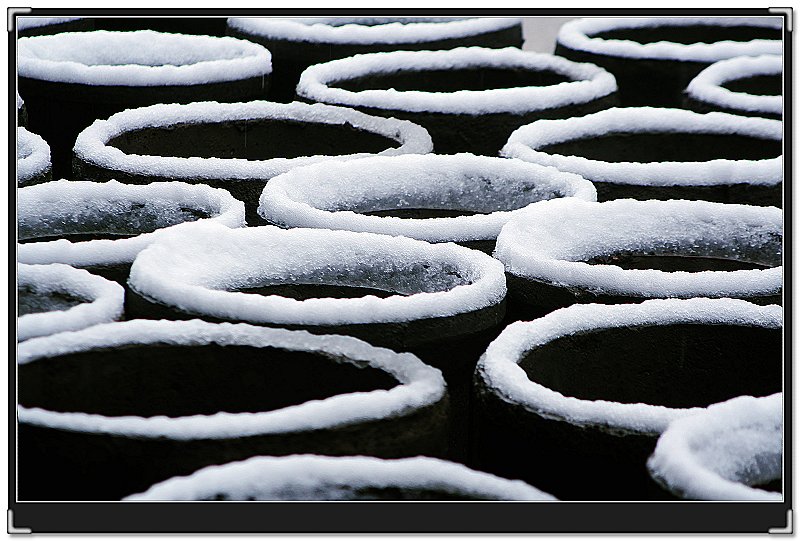 你那里下雪了吗 摄影 绿珠儿