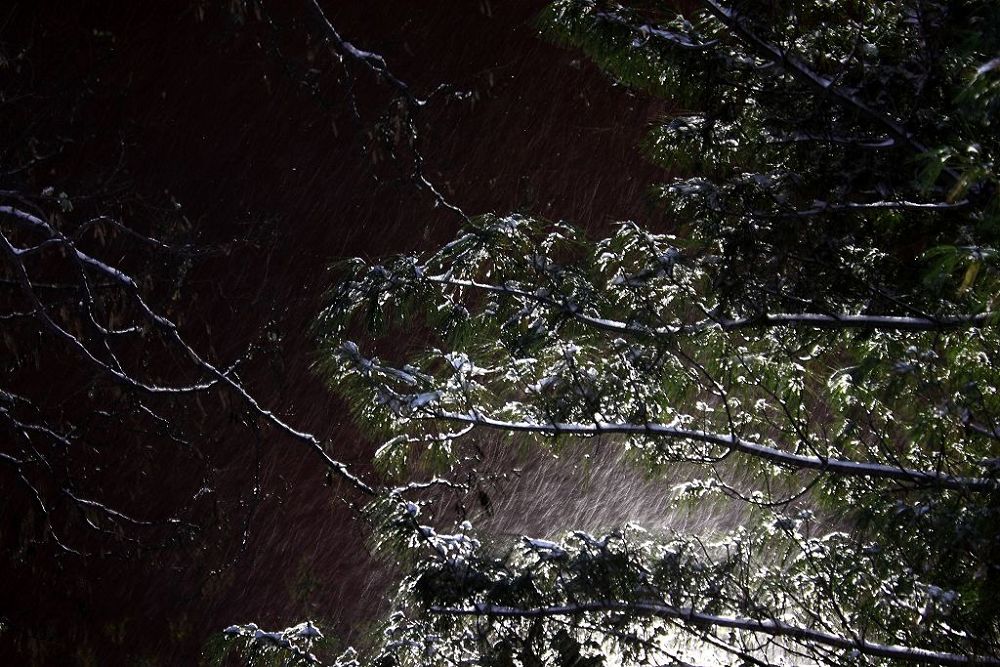 急风骤雪 摄影 实在人