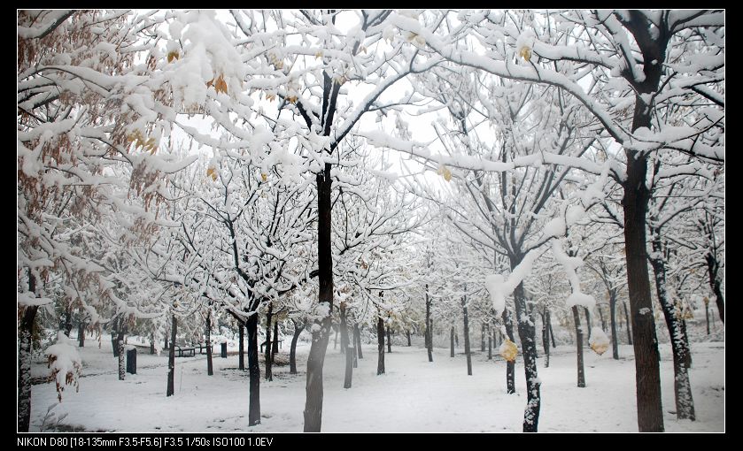 雪景 摄影 又见云起时