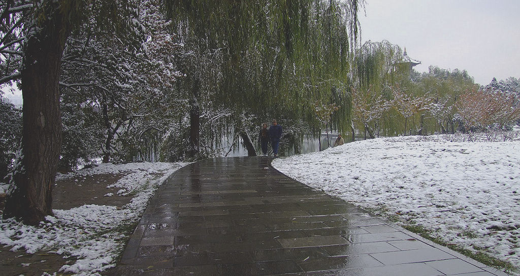 兴庆踏雪 摄影 了游