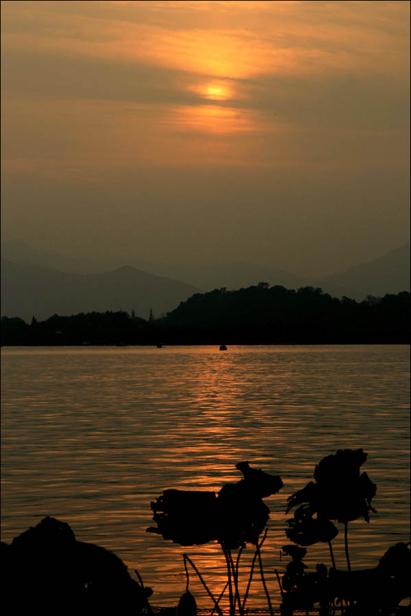 西湖 夕阳 残荷 摄影 风卷云舒