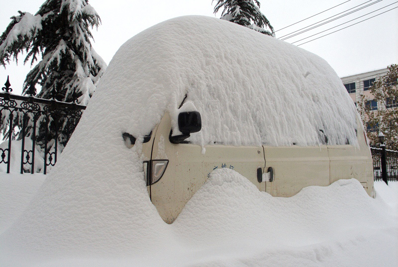 好大一场雪 摄影 山羊168