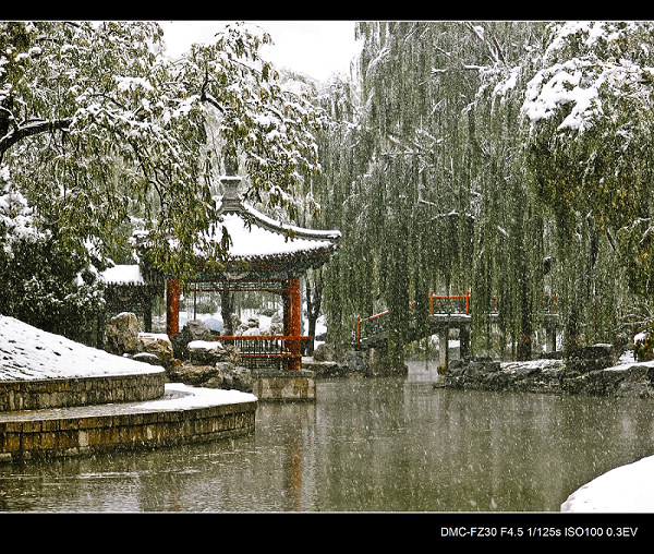 雪园 摄影 岩影