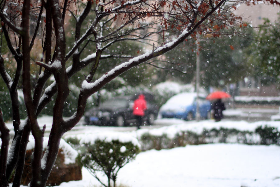 风雪中 摄影 长在慈湖