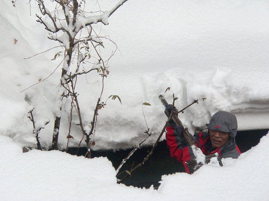 2009年的第一场雪-8 摄影 天元