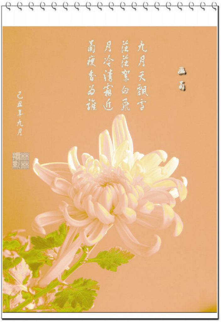 【 一样花开为底迟 】 摄影 林小慧