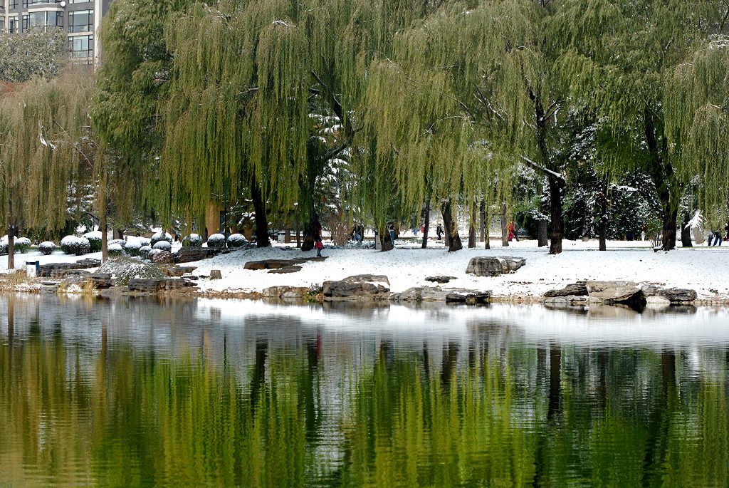 陶然雪 摄影 ZUZI