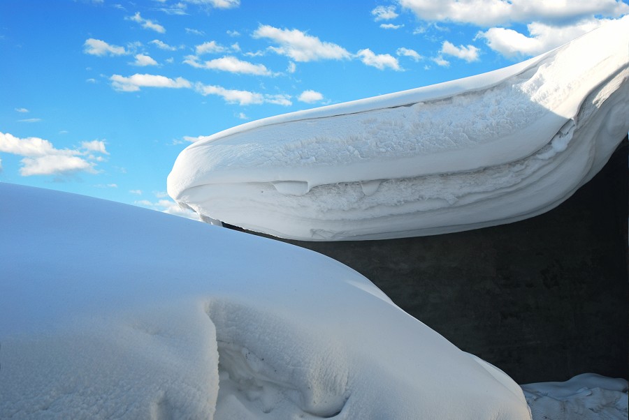 雪压冬云白絮飞 摄影 篌歌