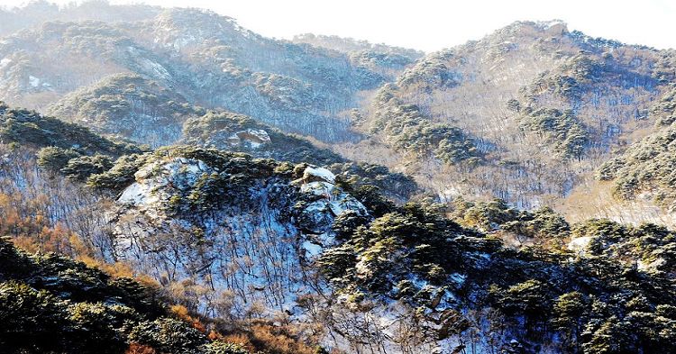 千山初雪 摄影 秋叶雨荷