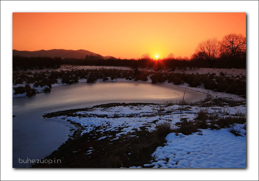 夕阳美 摄影 岳桦