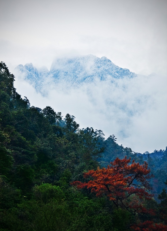 雾锁三清山 摄影 玉月