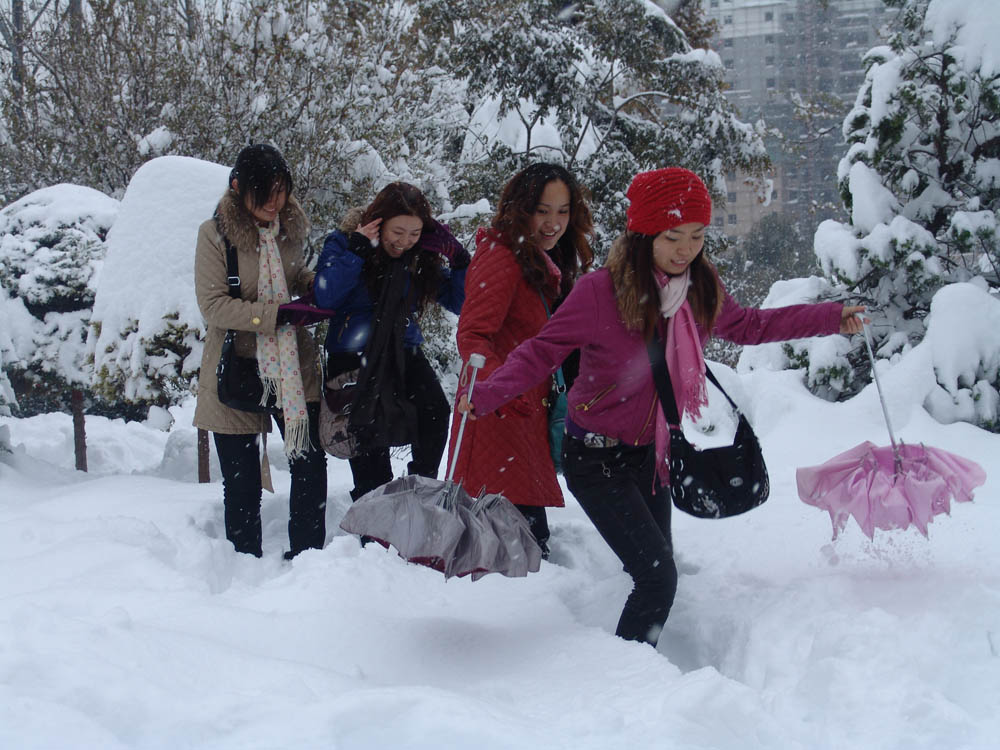 雪趣 摄影 林影