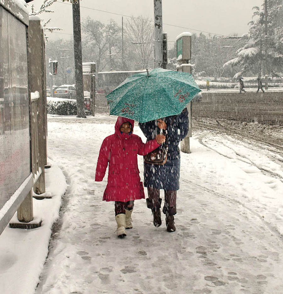 雪中行 摄影 泉城古月