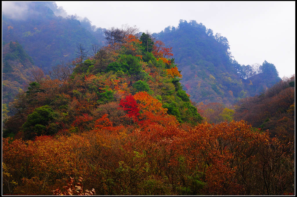 走近光雾山13--天生丽质 摄影 浪士