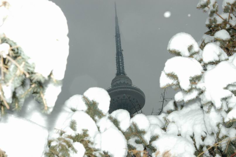 梦幻雪景 摄影 任庆华