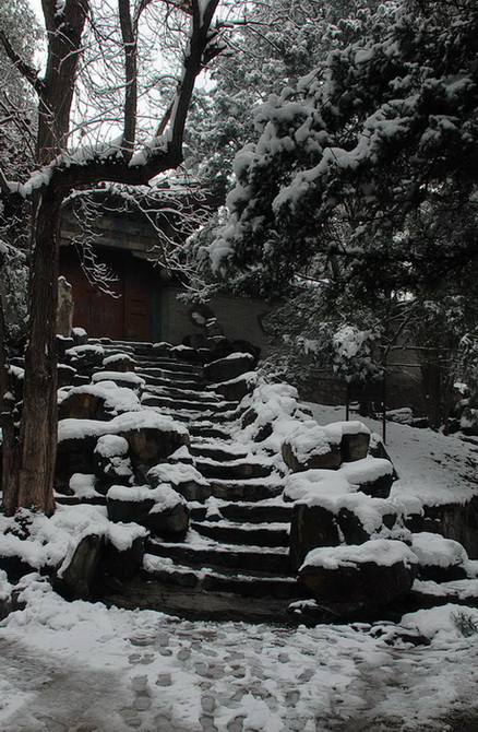 颐和园雪景06 摄影 三届