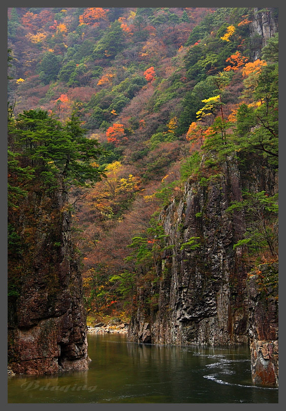 碧水秋色 摄影 Bdaqing