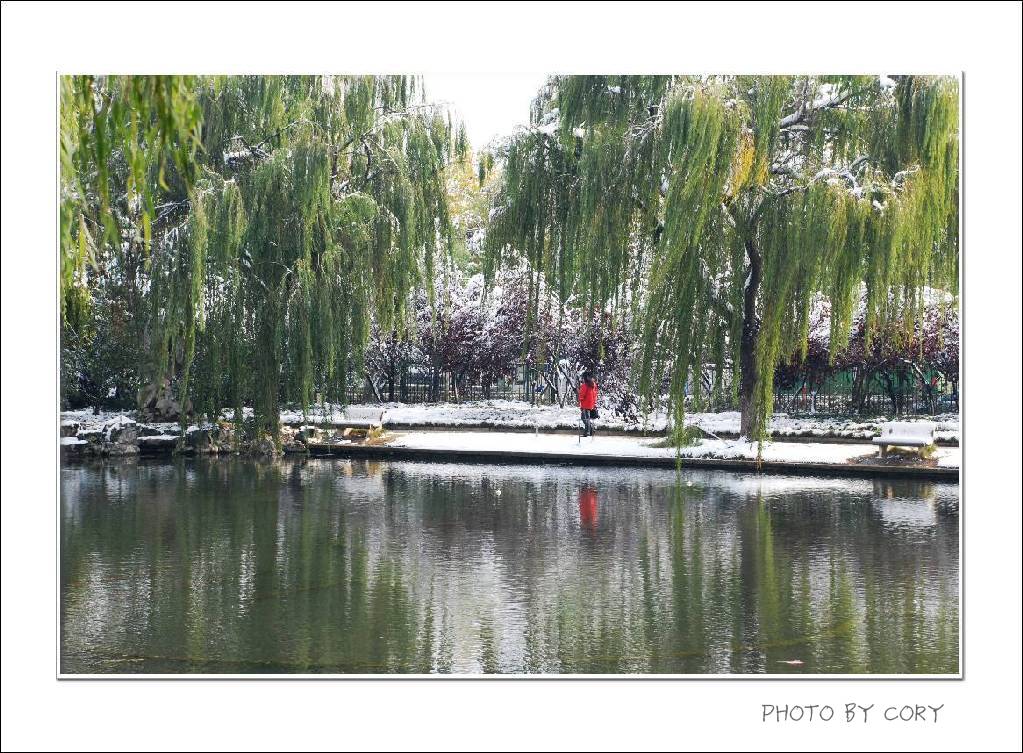 南方的雪 摄影 十年磨一剑