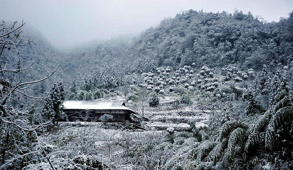 今年南国第一场雪 摄影 三峡猿