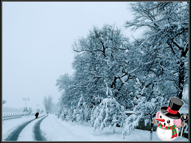 雪  路 摄影 巩全德