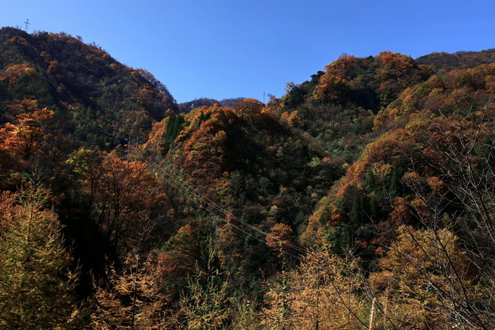 巡礼秋色（2-4）---光雾山秋色 摄影 冰之炫