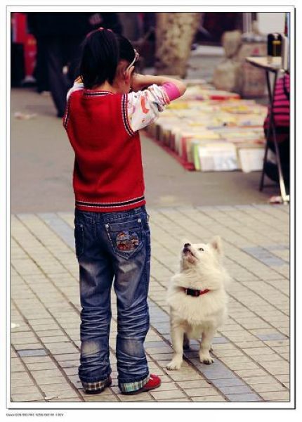 小妹妹,别哭啊! 摄影 映月