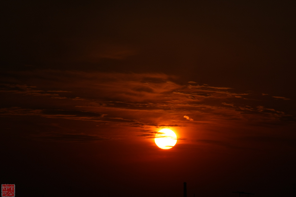 夕阳红日 摄影 叶公好龙