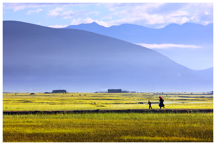 纳帕海的早晨 三 摄影 峰石岩