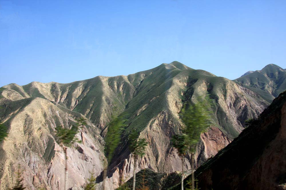 高原拾景-9 摄影 晓南