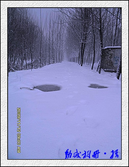 雪路 摄影 动感相册