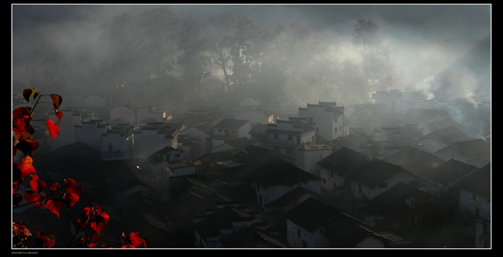 又见吹烟 摄影 柳树