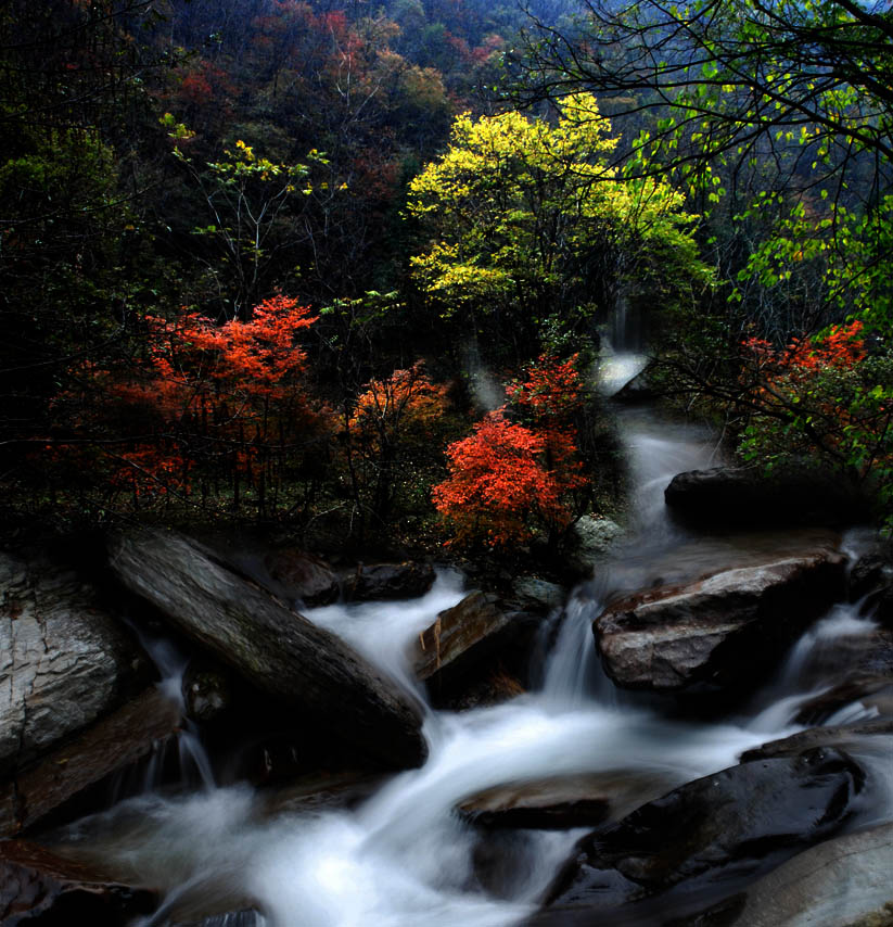 悠悠秋水 摄影 厨师解围腰