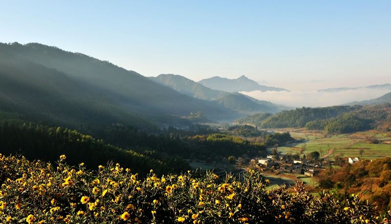 塔川云雾 摄影 空中花园.