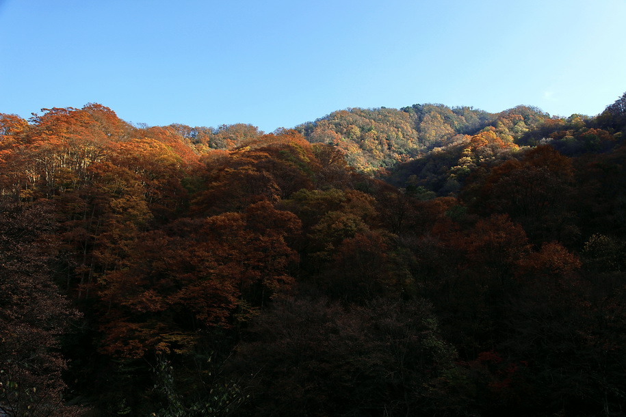 巡礼秋色（3-2）---红叶之乡米仓山 摄影 冰之炫