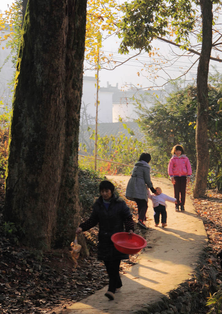 乡村早晨 摄影 迎瑞