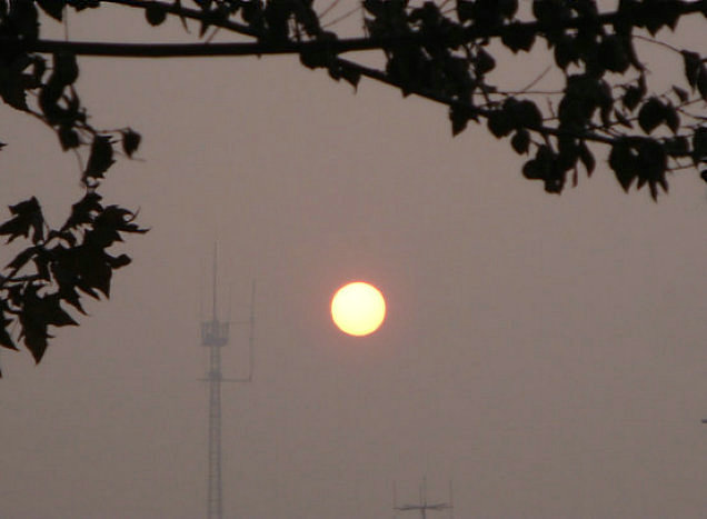 冬雾旭日 摄影 红日蓝天