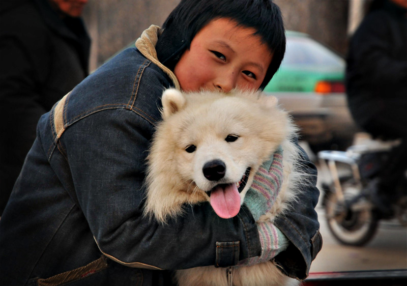 少年与爱犬-2 摄影 舞光拾色