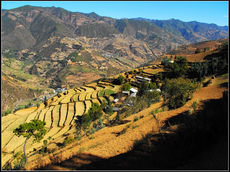 老家 摄影 大山之王