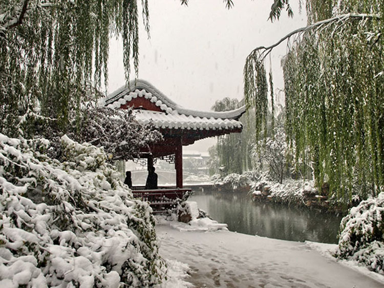 赏雪 摄影 泉城古月