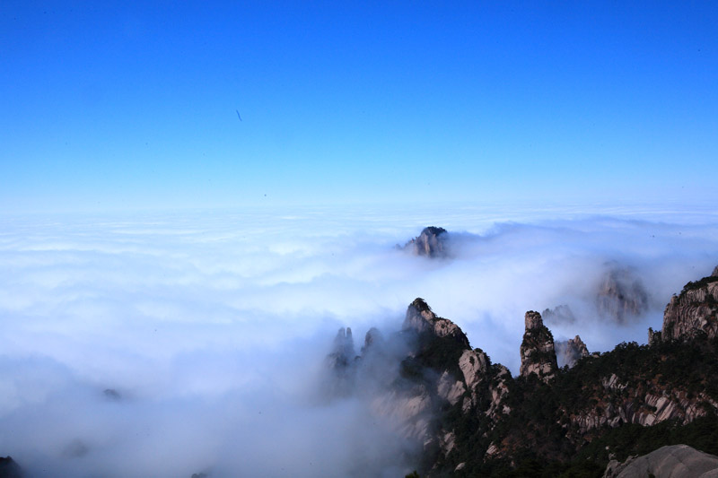 雾里看黄山 摄影 初学影人