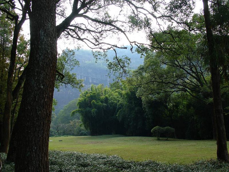 植物王国----福建武夷山200710 摄影 菲菲20091022